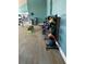 Fitness center with medicine balls, weights, and modern equipment at 5553 Baywater Dr, Tampa, FL 33615