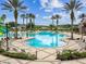 Stunning community pool surrounded by swaying palm trees, creating a relaxing and inviting oasis at 8766 Shadyside Ln, Land O Lakes, FL 34637