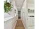 Hallway with hanging plants, leading to rooms and laundry area at 8766 Shadyside Ln, Land O Lakes, FL 34637