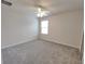 Bright bedroom featuring neutral paint, a ceiling fan, plush carpet, and natural light at 10821 Windswept Garden Way, Tampa, FL 33647