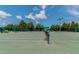Daytime view of pristine green tennis courts with well maintained nets at 1210 Paradise Lake Dr, Tarpon Springs, FL 34689