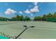 Daytime view of pristine green tennis courts with well maintained nets at 1210 Paradise Lake Dr, Tarpon Springs, FL 34689