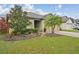 Well-manicured front yard with lush landscaping and a palm tree that adds curb appeal at 14407 Alistar Manor Dr, Wimauma, FL 33598