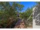 Wooden walkway leading towards the dock over the serene waters, enveloped by vibrant green vegetation at 2117 S West Shore Blvd, Tampa, FL 33629