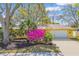 Inviting yellow home featuring a lush front yard with tropical plants and a bright pink bougainvillea at 2124 Crowsnest Dr, Palm Harbor, FL 34685