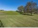 Lush backyard with mature trees and well-maintained lawn at 34411 Sahalee Loop, Dade City, FL 33525
