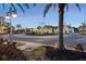 Picturesque streetscape featuring mature palm trees and inviting architecture in a walkable neighborhood at 5120 Bridge St # 6, Tampa, FL 33611
