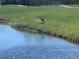 Heron on shore of pond near the golf course at 5700 Escondida S Blvd # 506, St Petersburg, FL 33715