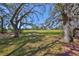 Lush green space with mature trees creating a peaceful and picturesque setting at 700 Starkey Rd # 514, Largo, FL 33771