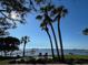 Charming waterfront scene with palm trees, inviting chairs, and a serene pier view at 1567 Patton Dr, Dunedin, FL 34698