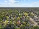 Wide aerial shot of a residential community with beautiful mature trees and homes under a sunny, blue sky at 2309 Valrico Forest Dr, Valrico, FL 33594
