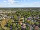An aerial view of a residential neighborhood featuring lush landscaping, mature trees and a park nearby at 2309 Valrico Forest Dr, Valrico, FL 33594