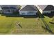 Picture of the backyard with a black fence and newly planted trees at 33410 Castaway Loop, Wesley Chapel, FL 33543
