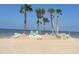 Stunning beach with palm trees and lounge chairs on a secluded island at 5133 Glenn Dr, New Port Richey, FL 34652