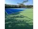 Blue tennis courts with green trim surrounded by mature landscaping at 540 Somerhill Ne Dr, St Petersburg, FL 33716
