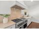 Gourmet kitchen featuring stainless steel appliances, custom countertops, and designer fixtures at 803 S Packwood Ave, Tampa, FL 33606