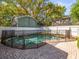 Backyard with a fenced-in pool, surrounded by lush greenery and mature trees at 803 S Packwood Ave, Tampa, FL 33606
