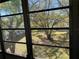 Window view to beautifully landscaped exterior grounds with mature trees at 8402 111Th St # 303, Seminole, FL 33772