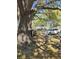 Backyard of a property with trees, a car, wooden fences, and some debris showcasing the property's storage capacity at 11326 Brightridge Dr, Seffner, FL 33584