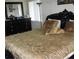 Bedroom featuring a decorative bed with brown and gold bedding, a dresser, and bright natural light at 11326 Brightridge Dr, Seffner, FL 33584