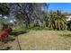 Expansive backyard featuring mature trees and a well-maintained lawn, offering privacy at 11327 Carter Grove Ln, Thonotosassa, FL 33592