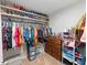Walk-in closet with shelves displaying shoes, hanging clothes, dresser, and other items at 12635 Tannencrest Dr, Riverview, FL 33579