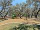 Community playground with mature trees providing shade at 12635 Tannencrest Dr, Riverview, FL 33579