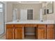 Bathroom vanity features a double sink, wooden cabinets and large mirror at 5039 Gato Del Sol Cir, Wesley Chapel, FL 33544