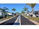 Scenic street view showcasing a community lined with palm trees and well-kept single-story homes at 7 Drury Ln, Tarpon Springs, FL 34689