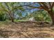 Spacious backyard showcases mature trees and lush greenery, connecting to screened in pool and detached garage at 10100 Grove Dr, Port Richey, FL 34668