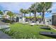Lawn area for residents, featuring lounge chairs and amenities with swaying palm trees at 5351 Bridge St # 99, Tampa, FL 33611