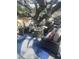 Outdoor seating area featuring a fire pit, comfortable chairs, and a blue and white rug under a large tree at 725 Philippe Pkwy, Safety Harbor, FL 34695