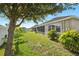 Beautiful backyard showing screened patio, landscaping, and green grass at 7326 Blue Beech Dr, Riverview, FL 33578