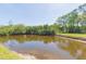 Scenic view of the lake behind the condo in a waterfront community with mature trees and lush greenery at 9100 Dr Martin Luther King Jr N St # 405, St Petersburg, FL 33702