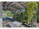 Patio with lush greenery and shelving at 1211 E Camellia Dr., Brandon, FL 33510