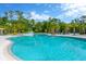 Spacious community pool with slide and playground area surrounded by lush greenery and palm trees at 4127 Broad Porch Run, Land O Lakes, FL 34638