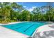 Resort-style pool with swimming lanes surrounded by lush landscaping at 4127 Broad Porch Run, Land O Lakes, FL 34638