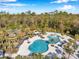 Aerial view of a community pool with a slide, surrounded by palm trees and lounge chairs at 4135 Epic Cv, Land O Lakes, FL 34638