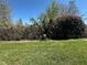Green backyard with mature vegetation and plants at 6125 113Th St # 505, Seminole, FL 33772