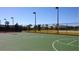 Outdoor community basketball court, surrounded by palm trees and the clubhouse in the distance at 8780 Flourish Dr, Land O Lakes, FL 34637