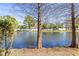 Backyard pond view with trees, green foliage and a partial view of a white fence at 12919 Whittington Ct, Largo, FL 33773