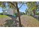 Expansive backyard with mature trees and a black metal fence; perfect for entertaining at 10315 Riverdale Rise Dr, Riverview, FL 33578