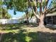 Backyard featuring large trees and privacy fence creating a serene outdoor space at 11114 Freedom Way, Seminole, FL 33772