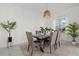 Bright dining room with 3D accent wall, modern light fixture, and a wooden table with seating for six at 15909 39Th E Gln, Parrish, FL 34219