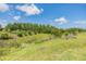 Lush green landscape featuring vibrant trees and an abundance of natural greenery in the backyard at 19445 Redwood Point Dr, Tampa, FL 33647