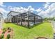 Lush backyard featuring a screened-in pool, lounge seating and an inviting outdoor space at 19445 Redwood Point Dr, Tampa, FL 33647