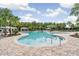 A stunning resort-style pool area with lush tropical landscaping and relaxing lounge areas at 19445 Redwood Point Dr, Tampa, FL 33647