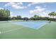 Well-maintained tennis courts with professional surfaces and ample space for friendly competition at 19445 Redwood Point Dr, Tampa, FL 33647
