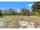 Property has beautiful land with room to roam and a vintage red barn at 22295 Powell Rd, Brooksville, FL 34602