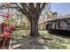 Serene backyard setting with lush trees, tropical plants, a screened-in porch, and hammock at 592 Deer W Run, Palm Harbor, FL 34684
